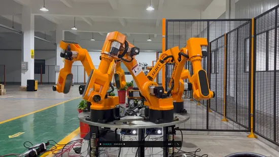 Custom Made China Manufacturer 6 Axis Robot