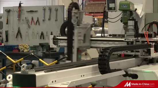 High Speed Heavyload /Conversational Operation/Multiple Languages/Three Servo Robot 